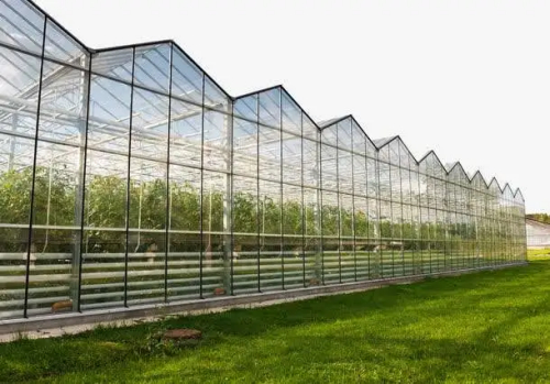 温室大棚的质量把控